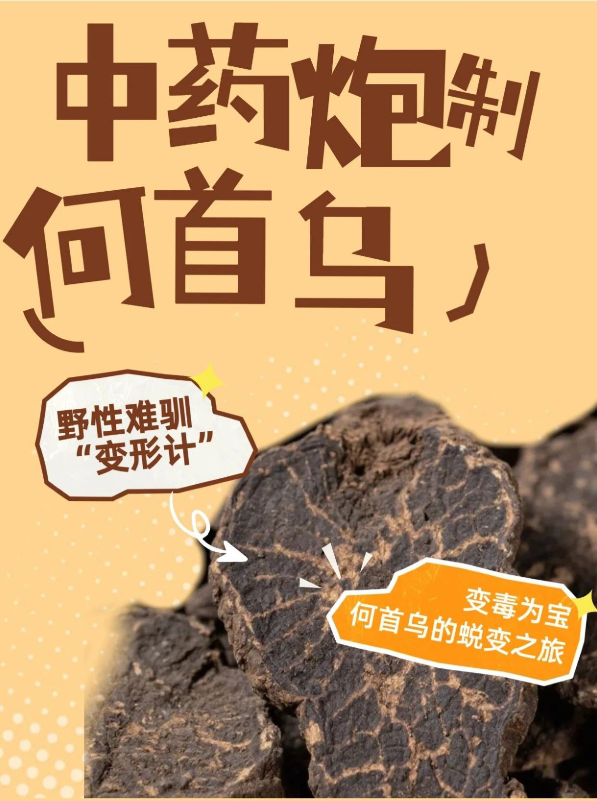 微信图片_20250822155420_95_73.png