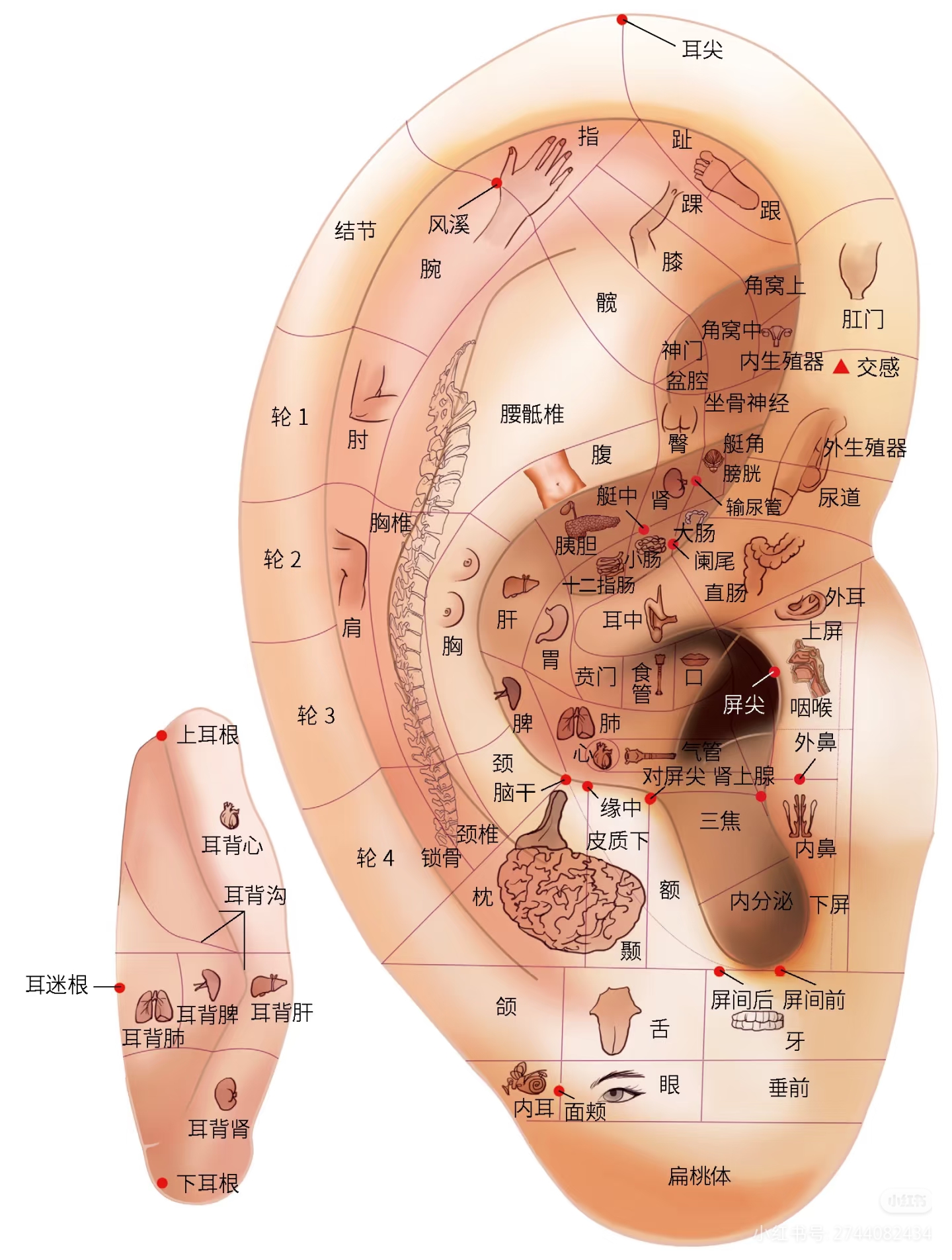 微信图片_20251125090732_806_73.jpg